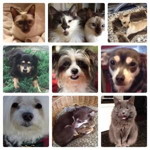 Meet your Posher, Ken